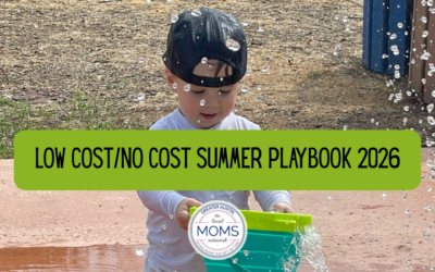 Low Cost/No Cost Summer Playbook 2026